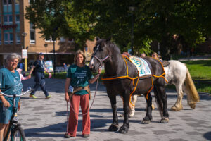 20250906 All Inklusiv Rostock E.V. Mut Tour (21 Von 62)