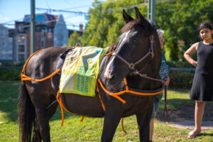 20250906 All Inklusiv Rostock E.V. Mut Tour (40 Von 62)